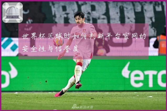 世界杯买球时如何判断平台官网的安全性与信誉度