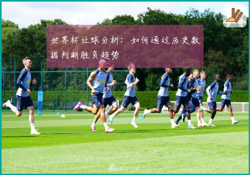 世界杯让球分析：如何通过历史数据判断胜负趋势