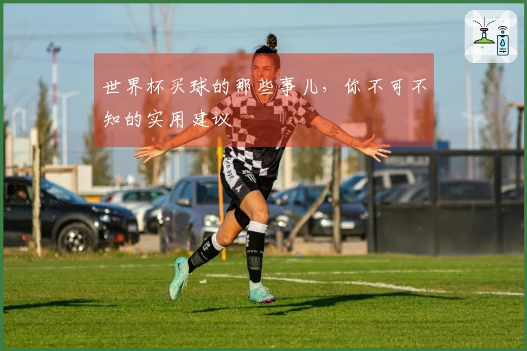 世界杯买球的那些事儿，你不可不知的实用建议